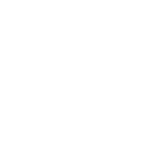 northstar - client logos - alamo