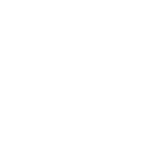 northstar - client logos - self